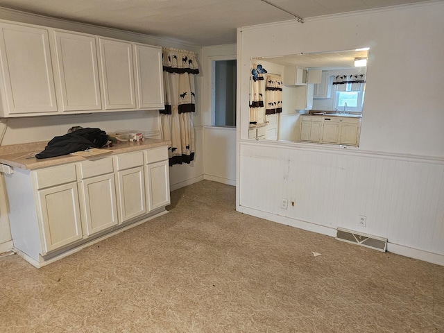 23018 Freeport Rd, Sterling, IL 61081 - kitchen featuring a sink, crown molding, and light countertops