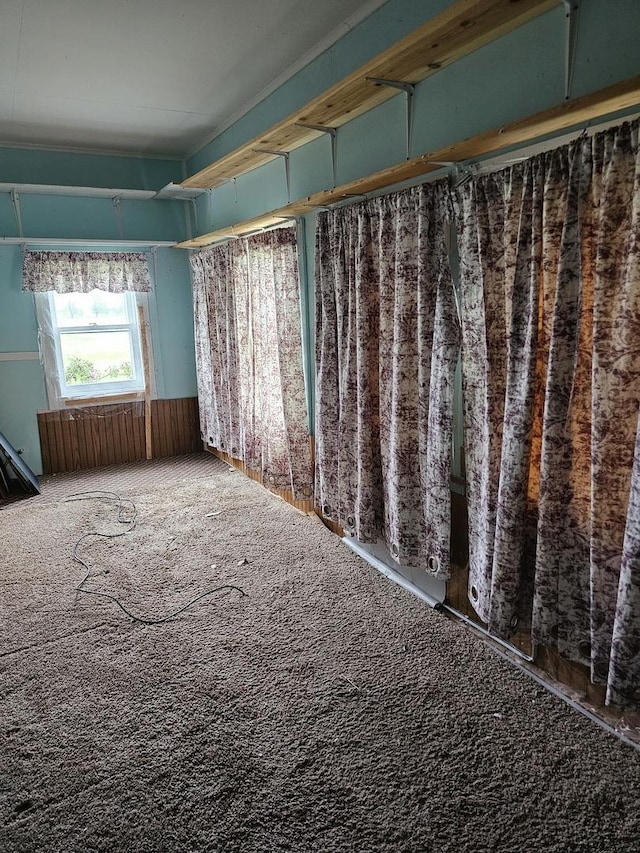 23018 Freeport Rd, Sterling, IL 61081 - misc room featuring carpet flooring and radiator heating unit