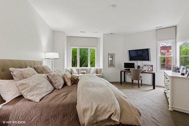 1733 S Prairie Ave, Chicago, IL 60616 - bedroom featuring multiple windows, a desk, light carpet, and baseboards