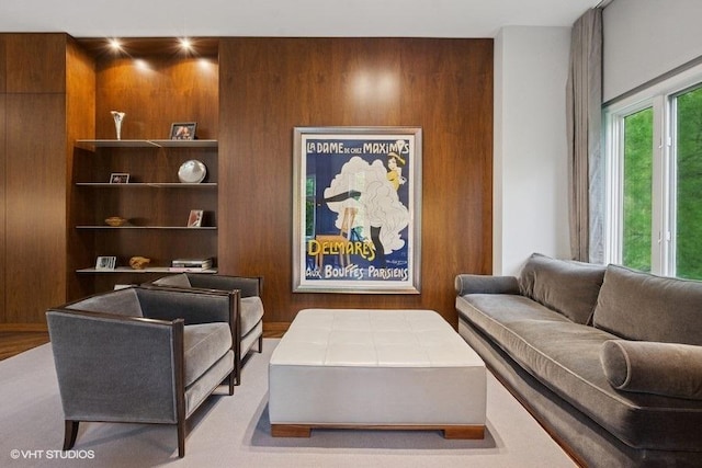 1733 S Prairie Ave, Chicago, IL 60616 - living room featuring wood walls