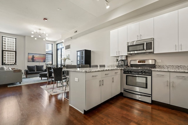 1464 S Michigan Ave Unit 810, Chicago, IL 60605 - kitchen with appliances with stainless steel finishes, a peninsula, open floor plan, and dark wood-style flooring