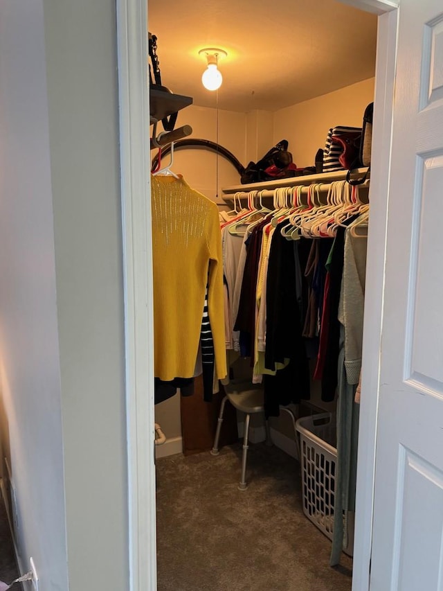 13515 Leclaire Ave Unit 55, Crestwood, IL 60418 - walk in closet with carpet flooring