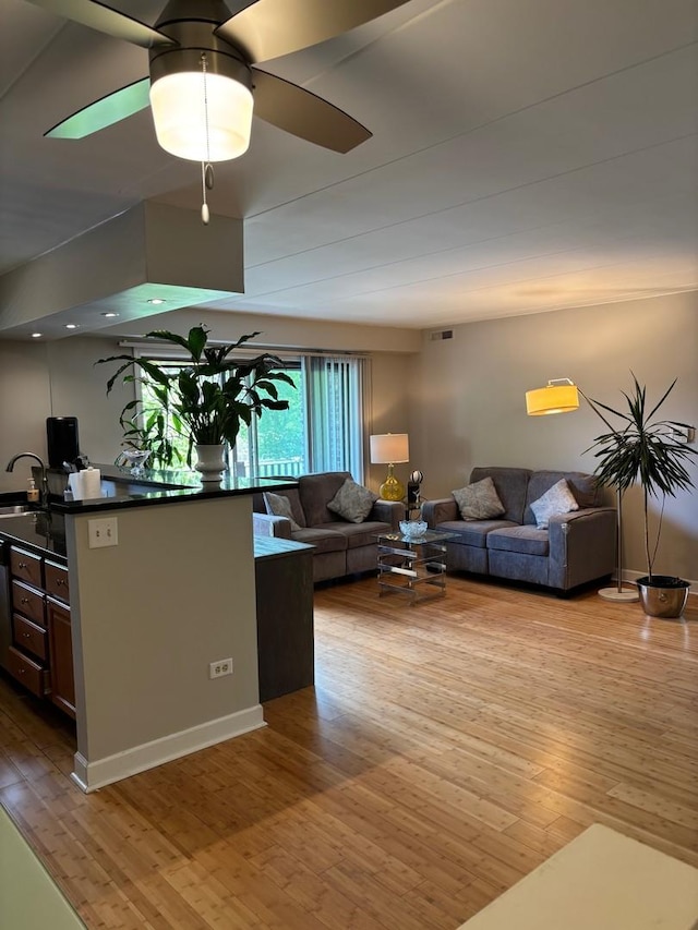 13515 Leclaire Ave Unit 55, Crestwood, IL 60418 - living room featuring light wood-style floors and a ceiling fan