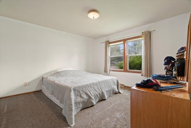 26630 W Il Route 134, Ingleside, IL 60041 - carpeted bedroom featuring baseboards