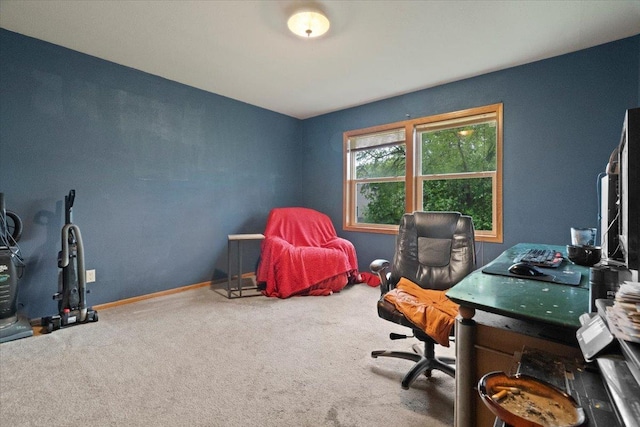 26630 W Il Route 134, Ingleside, IL 60041 - office with carpet floors