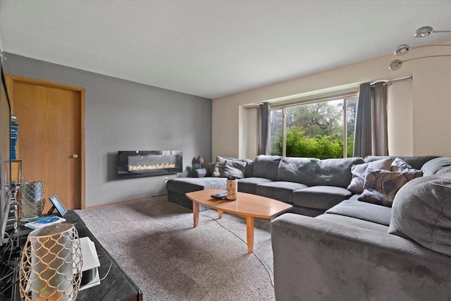 26630 W Il Route 134, Ingleside, IL 60041 - living area featuring a glass covered fireplace and carpet flooring