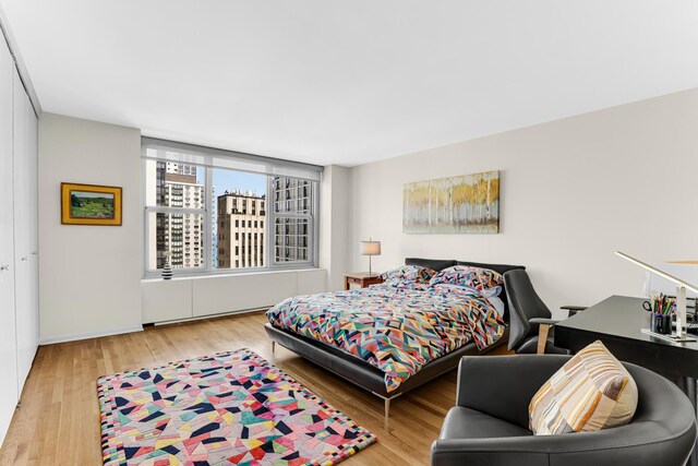 1325 N State Pkwy Unit 17C, Chicago, IL 60610 - bedroom with wood finished floors, radiator, and baseboards