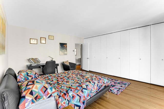1325 N State Pkwy Unit 17C, Chicago, IL 60610 - bedroom featuring wood finished floors
