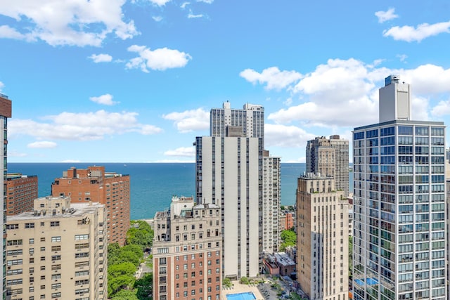 1325 N State Pkwy Unit 17C, Chicago, IL 60610 - city view with a nearby body of water