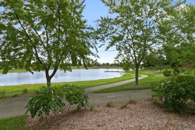 7925 Paxton Ave Unit 1A, Tinley Park, IL 60477 - water view