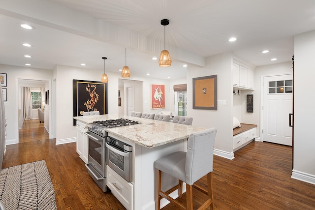 2S151 Stratford Rd, Glen Ellyn, IL 60137 - kitchen featuring appliances with stainless steel finishes, white cabinets, dark wood-style flooring, light stone countertops, and recessed lighting