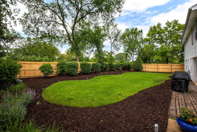 2S151 Stratford Rd, Glen Ellyn, IL 60137 - view of yard