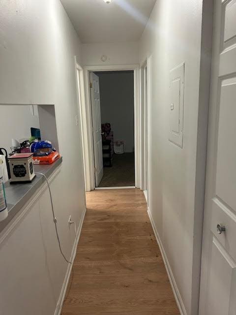 525 E Jefferson St Unit 1A, Bensenville, IL 60106 - corridor featuring light wood finished floors, electric panel, and baseboards