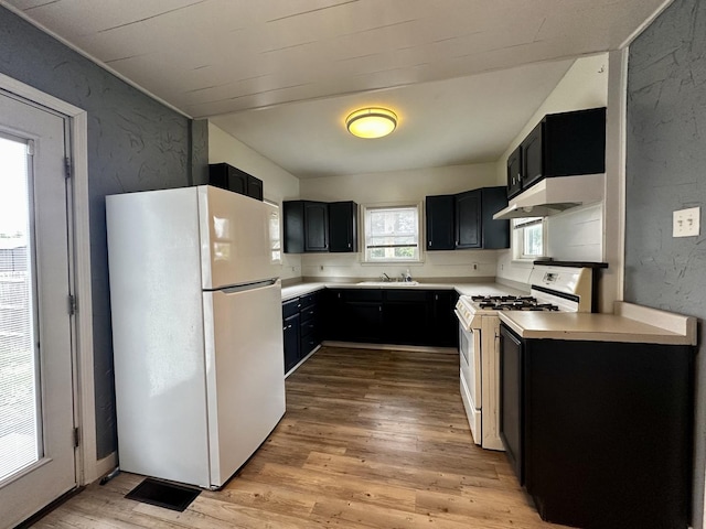 509 E Webster St, Clinton, IL 61727 - kitchen with white appliances, light wood-type flooring, dark cabinetry, light countertops, and a textured wall