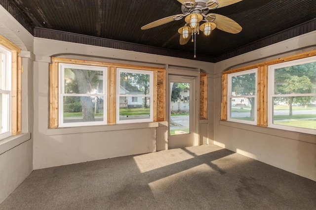 217 W Moulton St, Pontiac, IL 61764 - unfurnished sunroom with carpet floors and wood ceiling