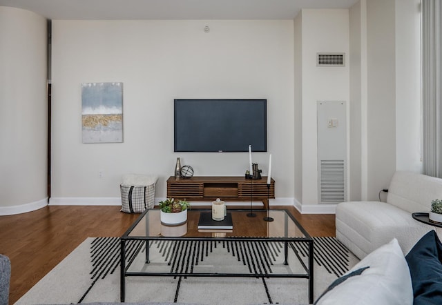 233 E 13th St Unit 2001, Chicago, IL 60605 - living room with wood finished floors and baseboards