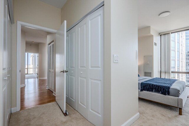233 E 13th St Unit 2001, Chicago, IL 60605 - hall with carpet floors and baseboards