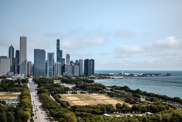 233 E 13th St Unit 2001, Chicago, IL 60605 - skyline view with a large body of water