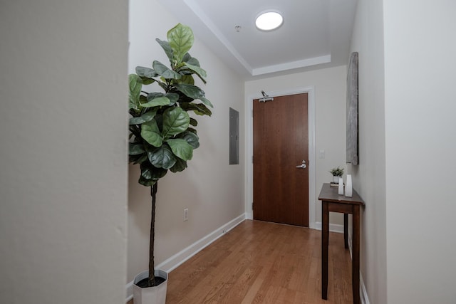 233 E 13th St Unit 2001, Chicago, IL 60605 - hall featuring light wood-style flooring, a tray ceiling, and baseboards