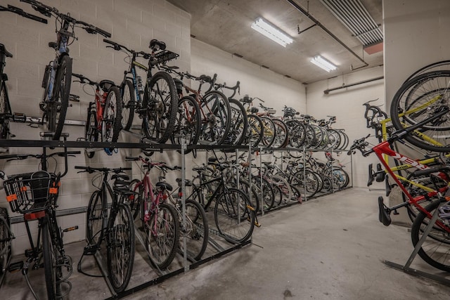 233 E 13th St Unit 2001, Chicago, IL 60605 - garage with bike storage and concrete block wall