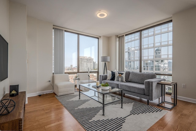 233 E 13th St Unit 2001, Chicago, IL 60605 - living room featuring a city view, floor to ceiling windows, wood finished floors, and baseboards