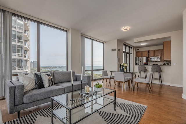 233 E 13th St Unit 2001, Chicago, IL 60605 - living room with expansive windows, light wood finished floors, and baseboards