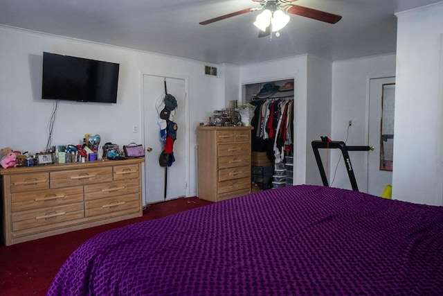 347 Manitowac St, Park Forest, IL 60466 - bedroom featuring ceiling fan, a closet, and dark carpet