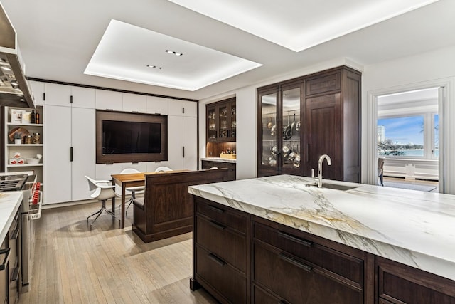 209 E Lake Shore Dr Unit 3W, Chicago, IL 60611 - kitchen with a tray ceiling, a sink, dark brown cabinets, light wood-style floors, and light stone counters