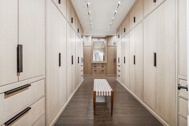 209 E Lake Shore Dr Unit 3W, Chicago, IL 60611 - corridor featuring dark wood-style flooring and track lighting