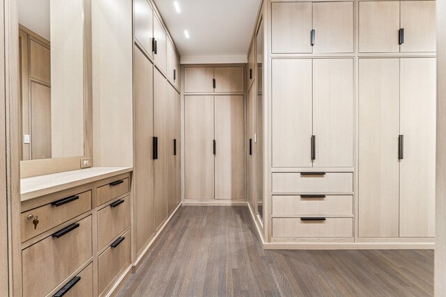 209 E Lake Shore Dr Unit 3W, Chicago, IL 60611 - view of closet