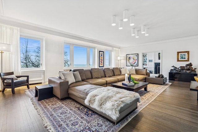 209 E Lake Shore Dr Unit 3W, Chicago, IL 60611 - living area featuring crown molding and wood-type flooring