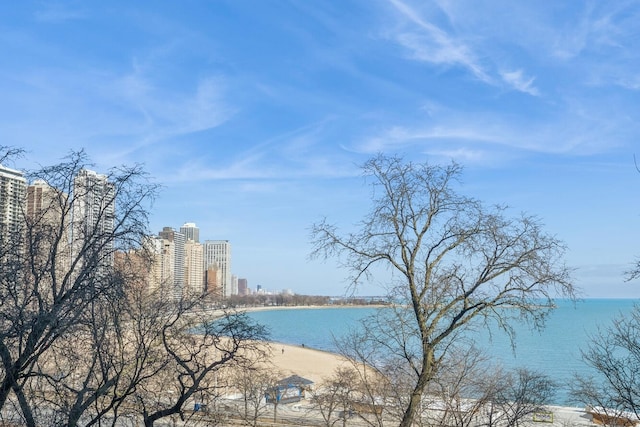 209 E Lake Shore Dr Unit 3W, Chicago, IL 60611 - water view with nearby urban area