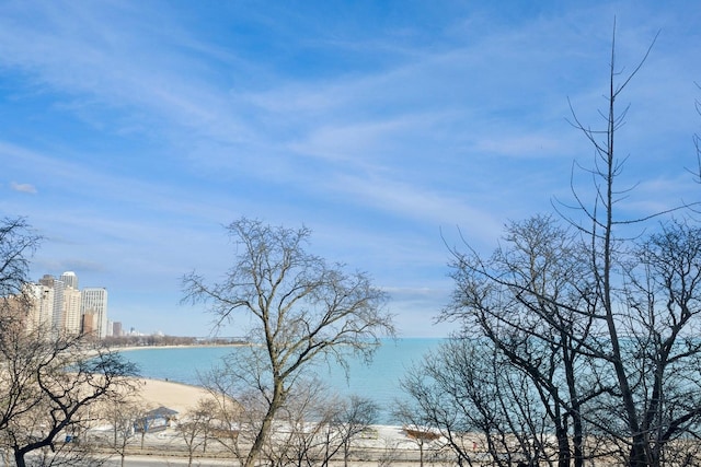 209 E Lake Shore Dr Unit 3W, Chicago, IL 60611 - water view