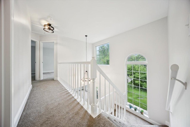 1148 Coldspring Rd Unit 0, Elgin, IL 60120 - hallway featuring carpet flooring, baseboards, and an upstairs landing