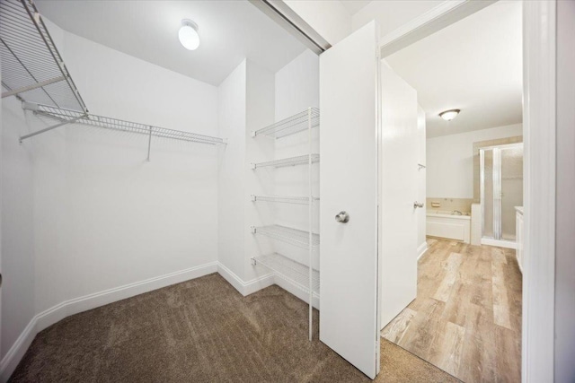 1148 Coldspring Rd Unit 0, Elgin, IL 60120 - spacious closet with carpet