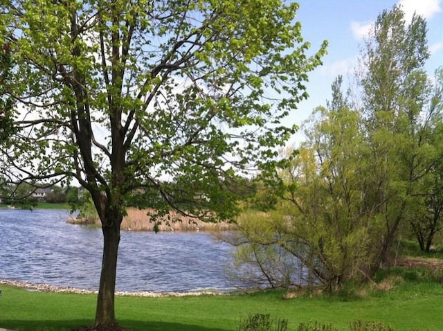 1148 Coldspring Rd Unit 0, Elgin, IL 60120 - water view