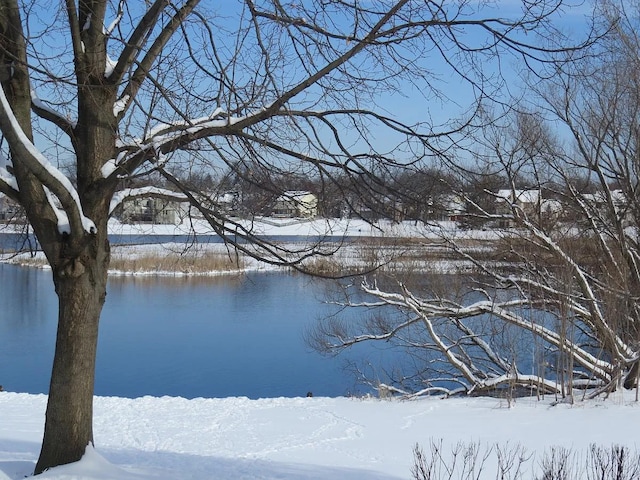 1148 Coldspring Rd Unit 0, Elgin, IL 60120 - water view