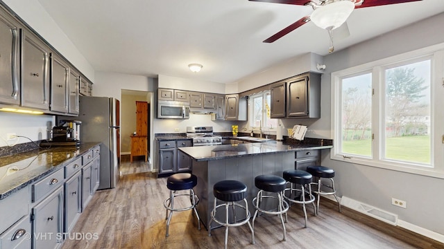 24452 W Blvd Dejohn, Naperville, IL 60564 - kitchen with stainless steel appliances, light wood-style floors, a peninsula, and a kitchen bar