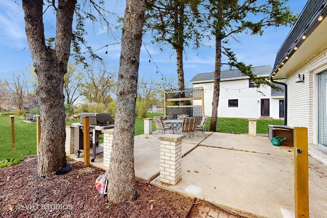 24452 W Blvd Dejohn, Naperville, IL 60564 - view of patio with area for grilling