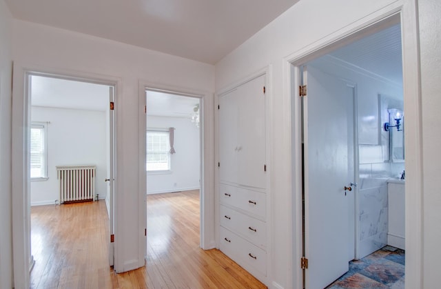 110 N Newton St, Goodland, IN 47948 - hallway featuring radiator heating unit, light wood-style flooring, and baseboards
