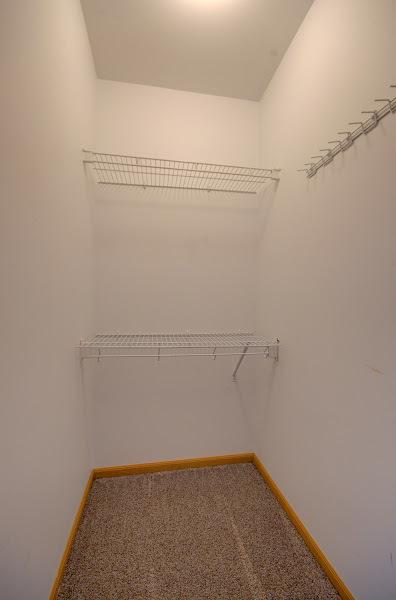 1716 Waters Edge Dr Unit 1716, Minooka, IL 60447 - spacious closet with carpet floors