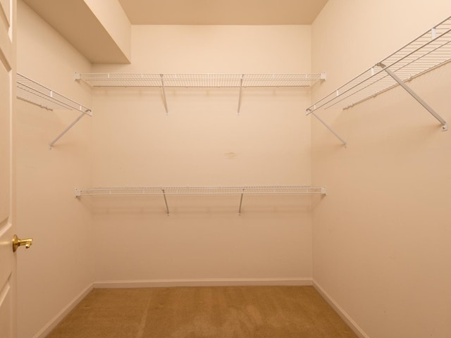 16565 Buckner Pond Way, Crest Hill, IL 60403 - spacious closet with carpet