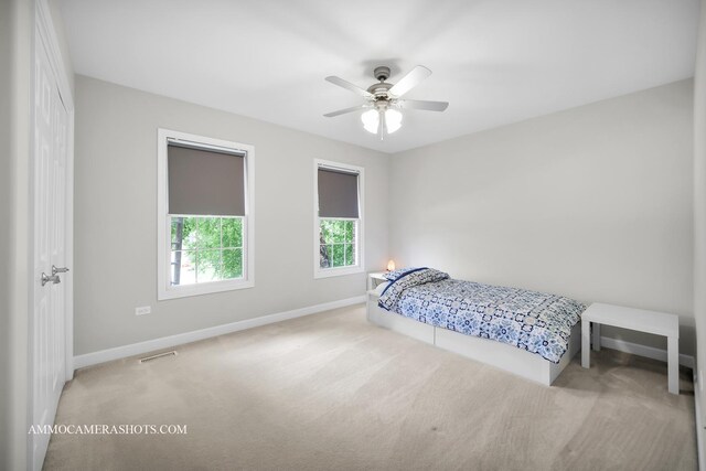 11650 Liberty Ln, Plainfield, IL 60585 - photo 19