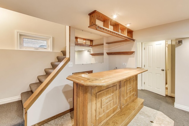 2004 Linden Ave, Park Ridge, IL 60068 - stairway featuring wet bar, carpet, and baseboards