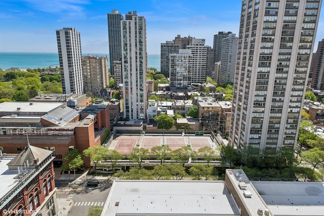 1560 N Sandburg Ter Unit 2202, Chicago, IL 60610 - skyline view with a nearby body of water