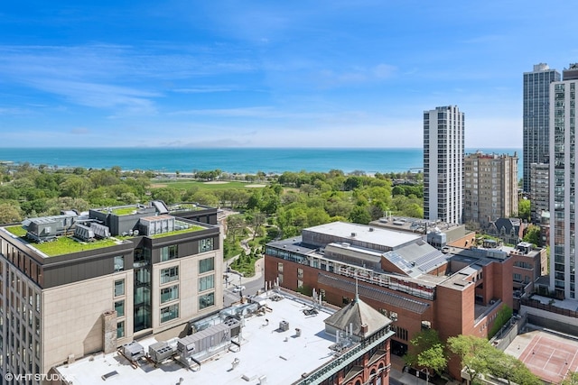 1560 N Sandburg Ter Unit 2202, Chicago, IL 60610 - view of urban area with a nearby body of water