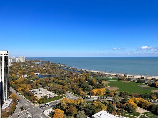 1560 N Sandburg Ter Unit 2202, Chicago, IL 60610 - drone / aerial view of a nearby body of water