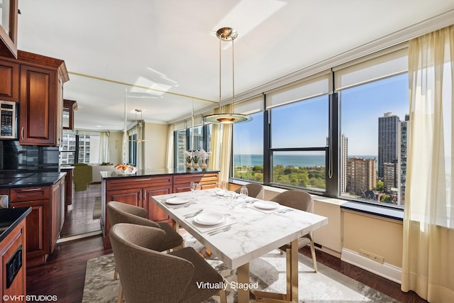 1560 N Sandburg Ter Unit 2202, Chicago, IL 60610 - dining space featuring dark wood-style flooring and baseboards