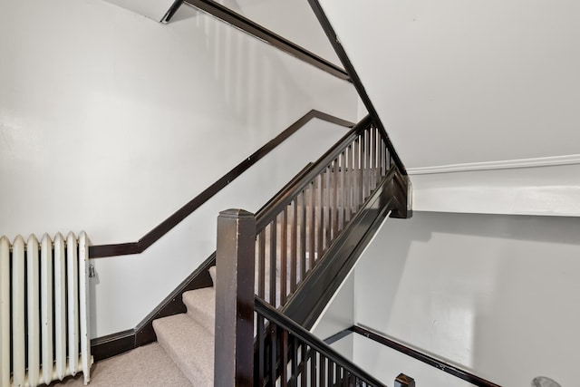 1412 Schilling Ave, Chicago Heights, IL 60411 - staircase with radiator and carpet