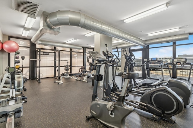 1069 W 14th Pl Unit 333, Chicago, IL 60608 - gym with expansive windows